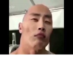 The Rock Chinese