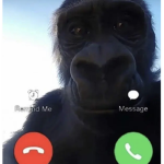 gong got a call to confirm