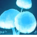 Ice world group