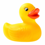 Duckie’s gang