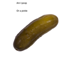 Pickle clan bedwars!