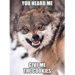 The WolfBlox