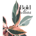 Bold & beautifulz
