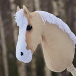 Official hobby horse group