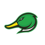 Gamer Duckz