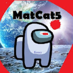 MATCAT TEAM