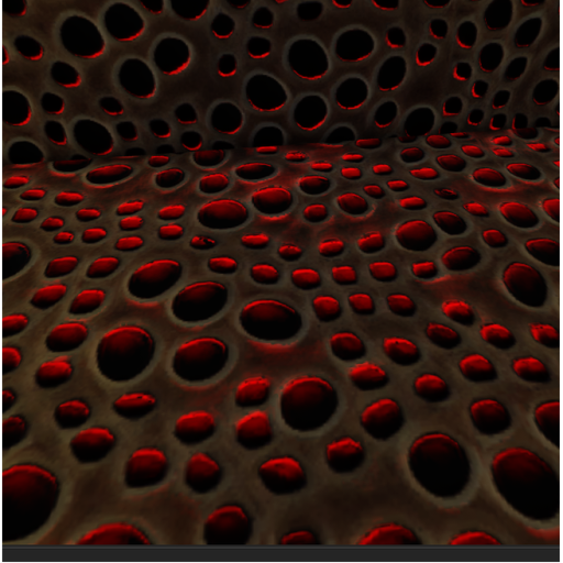 PHOBIAS || CHAPTER ONE // 