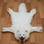 THE WHITE FOX POWER GROUP