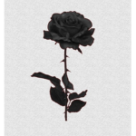 Forsaken Realm