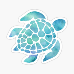 Tropical Design & Graphics