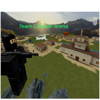 Team Combat Arena