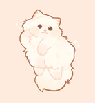 Cute.White.Cats