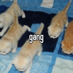 this MAY be a group