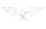 ・Imperium of Man・