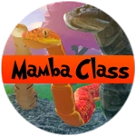 Mamba Class
