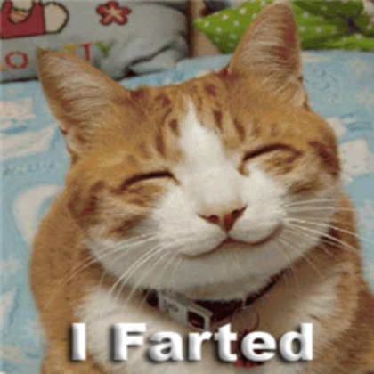 funny cat farted *PLZ COMMENT!* Roblox decal