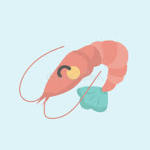 The Shrimpy Ella's