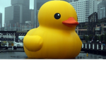 THE DUCKS EMPIRE