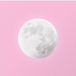pink moon