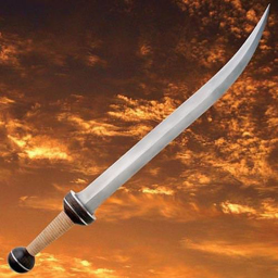 the mega sword fighting arena