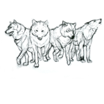 The Ultra Wolves