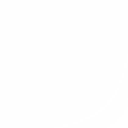 White 1x1 pixel Roblox decal