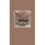 Timmiesbirdscandie