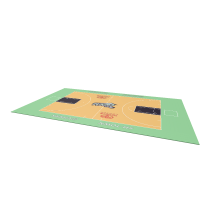 Houston Vipers Basketball Court