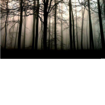 gray place..