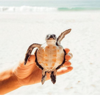 get limited items cheaper