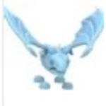 Frost Dragon Squad official