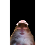 Hey bhjxkashjhkdcvhjkacds