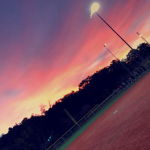 Softball Squad Checkkk