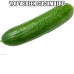 CuCuMbErs FaNs