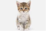 mRoW wHo YoU lOoKiN aT