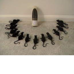 Tim's groupFor fun