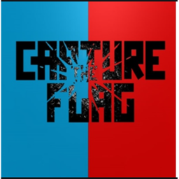 capture the flag game