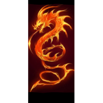 fire gragon