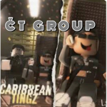 Č T GROUP