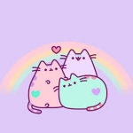 Unfound kittens