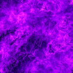 Purple Family