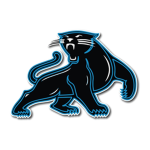 Pete Panther's Group