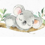 OFFICIAL KOALA FAN CLUB