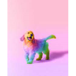 The Rainbow Puppy Squad Hangout