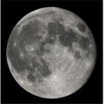 moon cafe