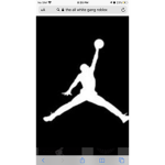 The Jordan gang 23