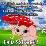 Grupo da estrela sophia