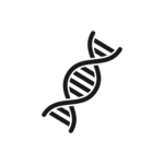 DNA Buddies