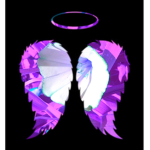 ChrisFans