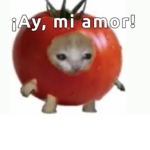 Tomato cats are cool
